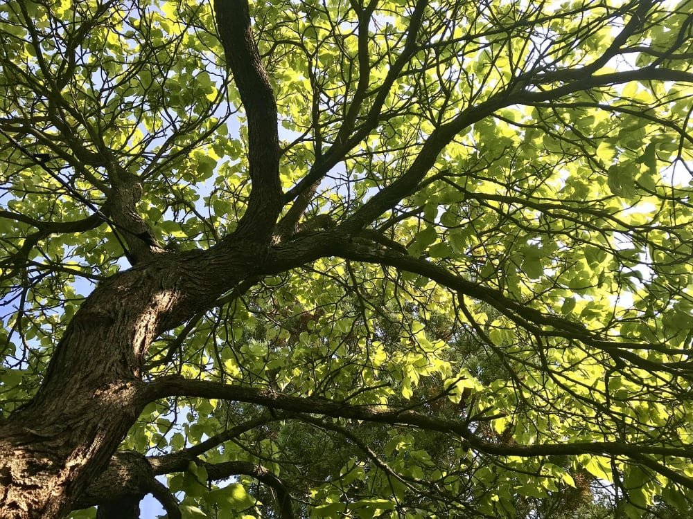 agenda cursus bostochten frankrijk jeroen heindijk