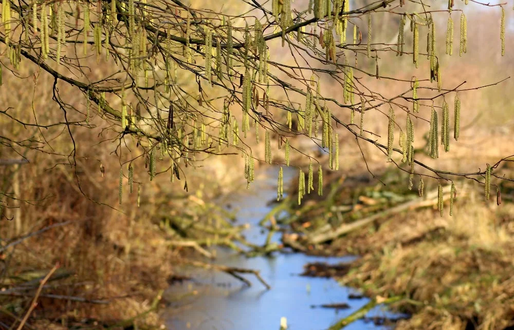 bostochten jeroen heindijk deep light journey