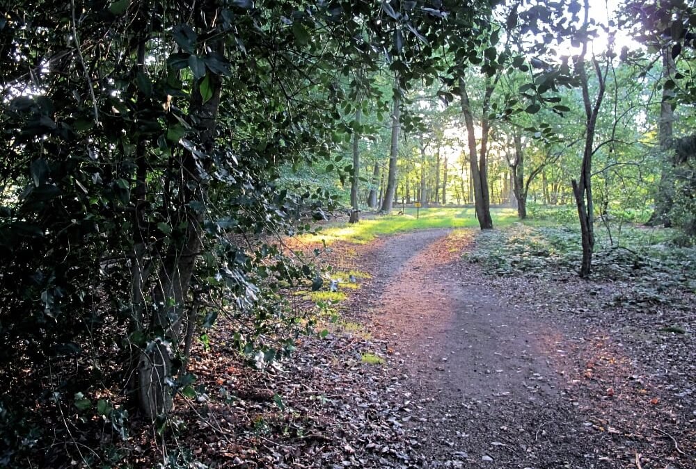 bostochten zeist jeroen heindijk