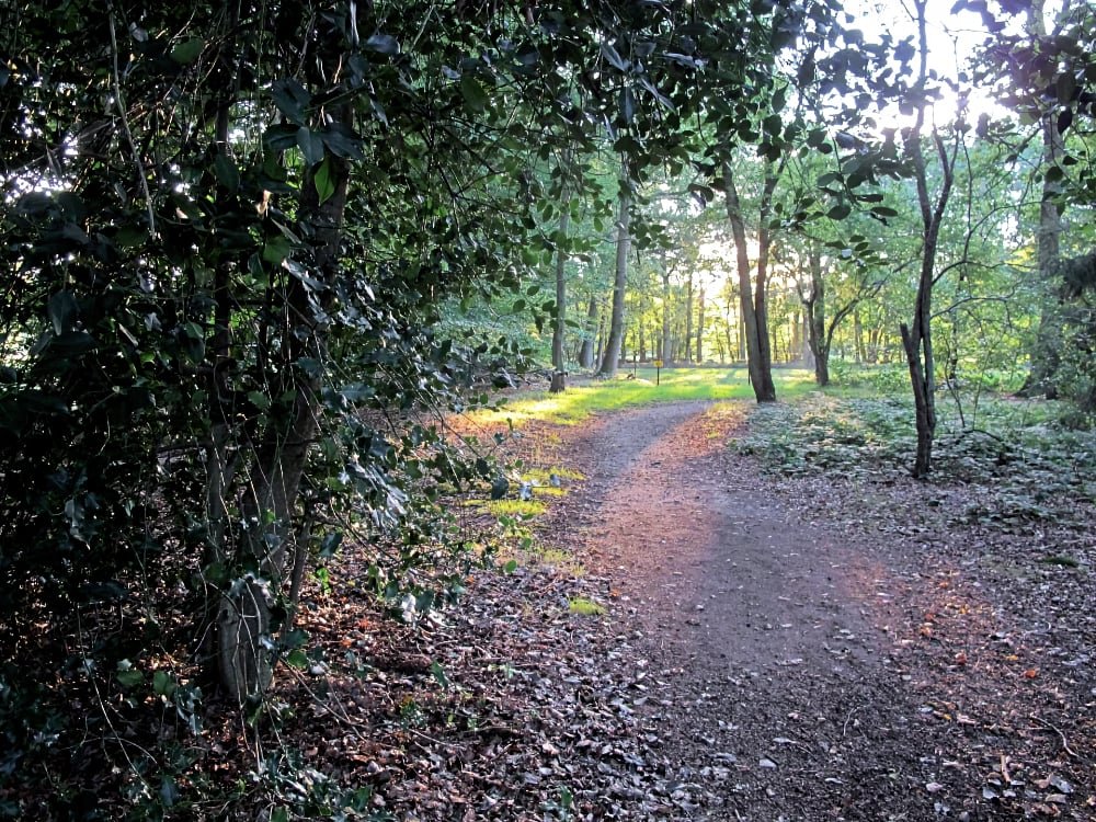 bostochten zeist jeroen heindijk