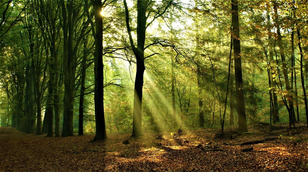 engelandreizen met jeroen heindijk bostochten