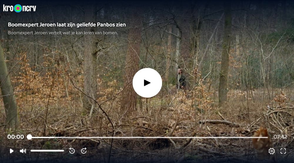 Jeroen heindijk in tv-programma binnenstebuiten